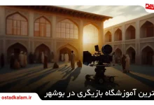 تصویر از 7 بهترین آموزشگاه بازیگری در بوشهر